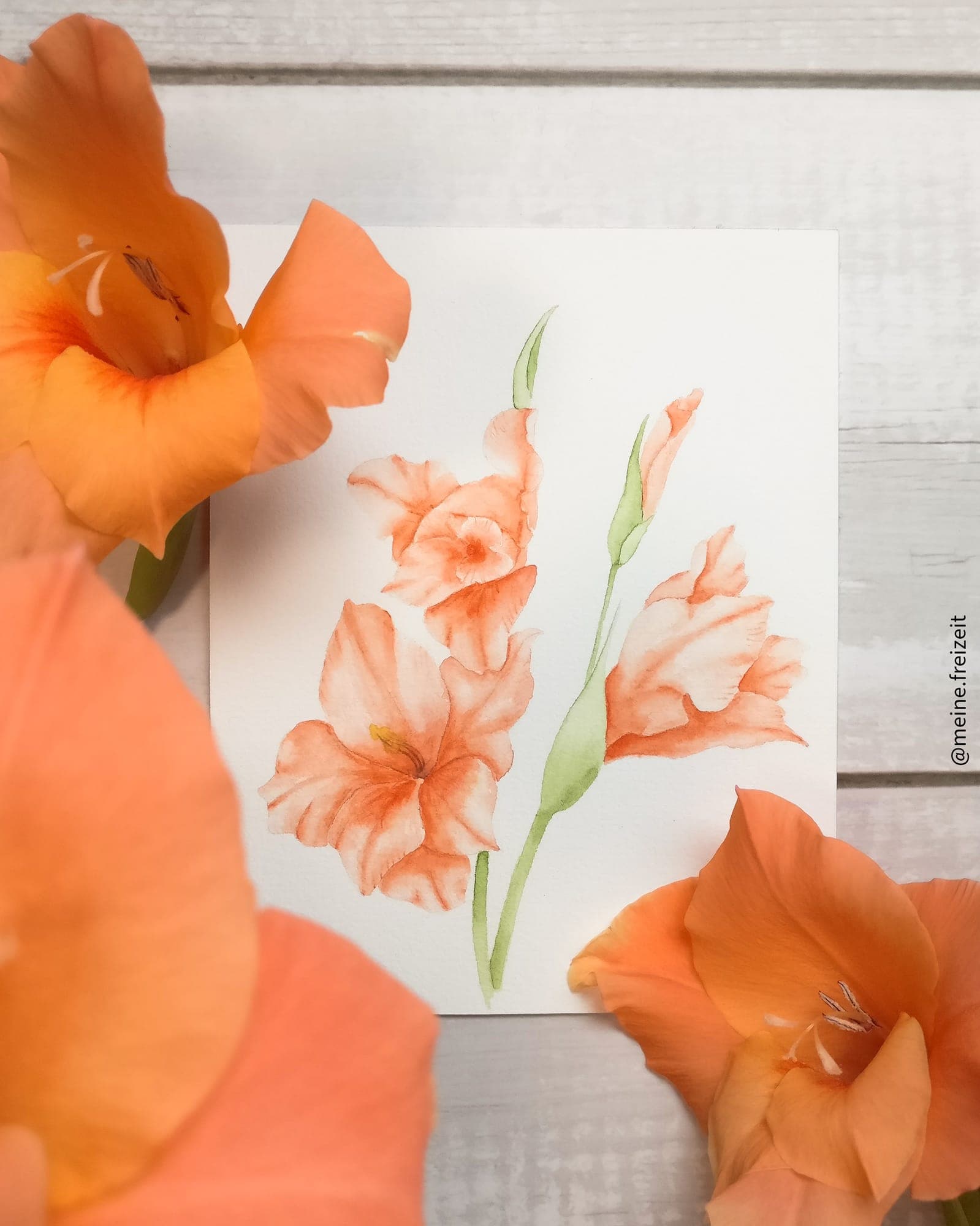 Gladiolen, Aquarell