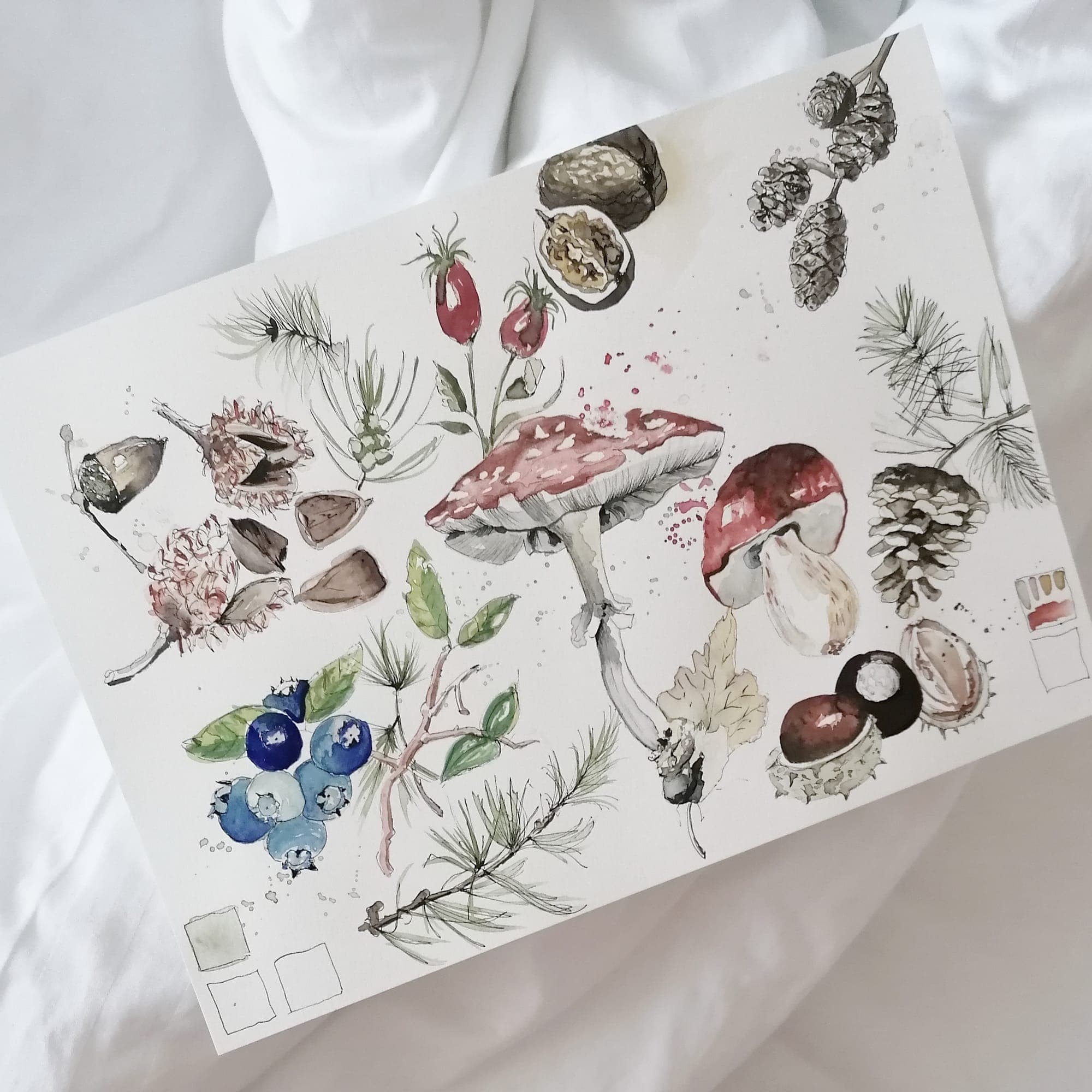 Herbstliche Aquarellstudie mit Pilzen und Beeren