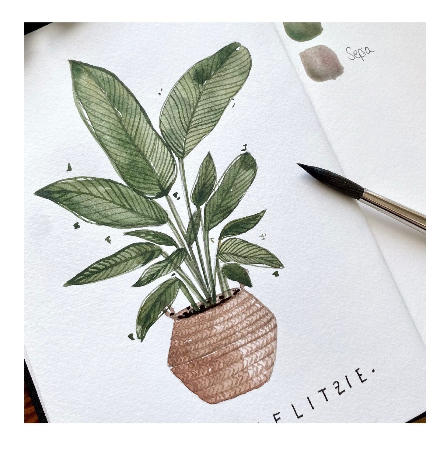 Aquarell einer Strelitzie in einem geflochtenen Korb