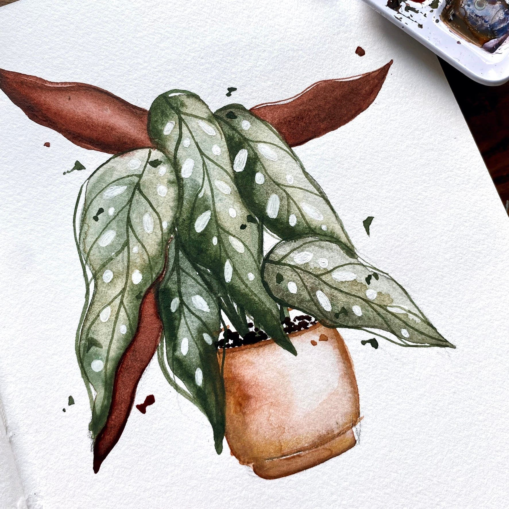 Pflanzenaquarell von Lena