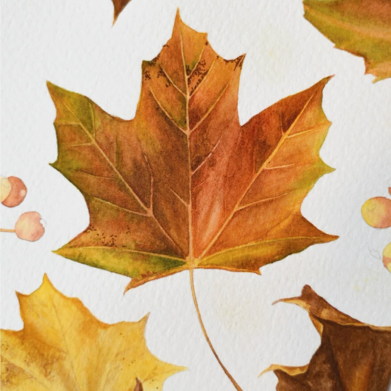 Livestream: Herbstlaub