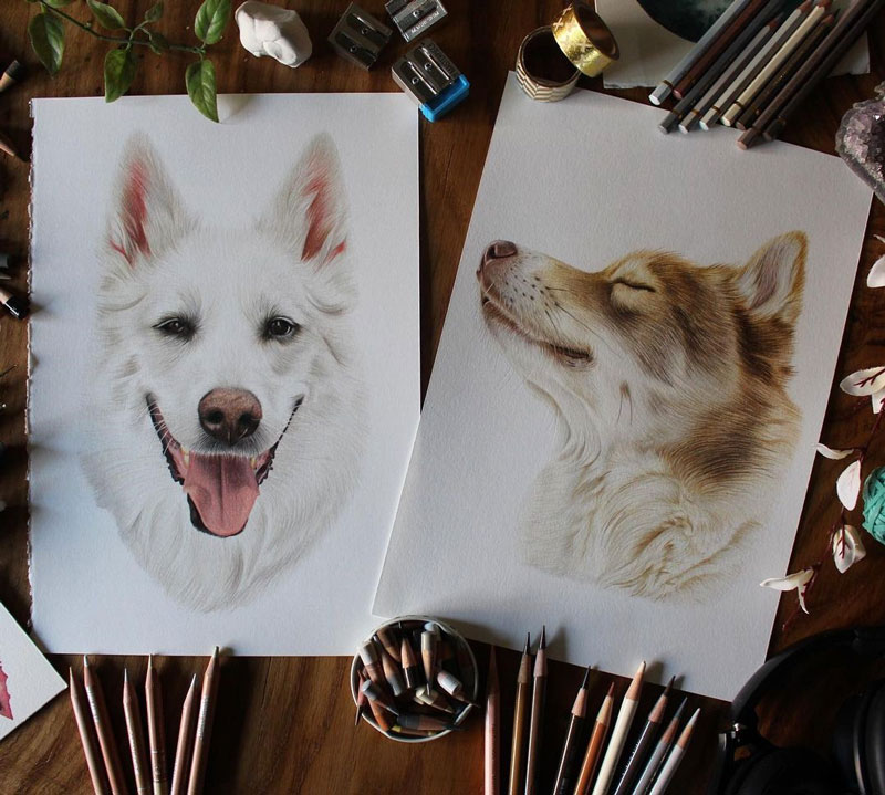 Colored Pencil Dog Portraits